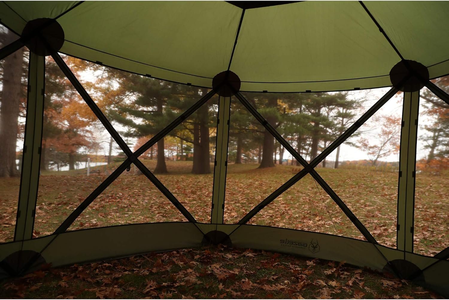 Gazelle Tents 4 Person Tent Review