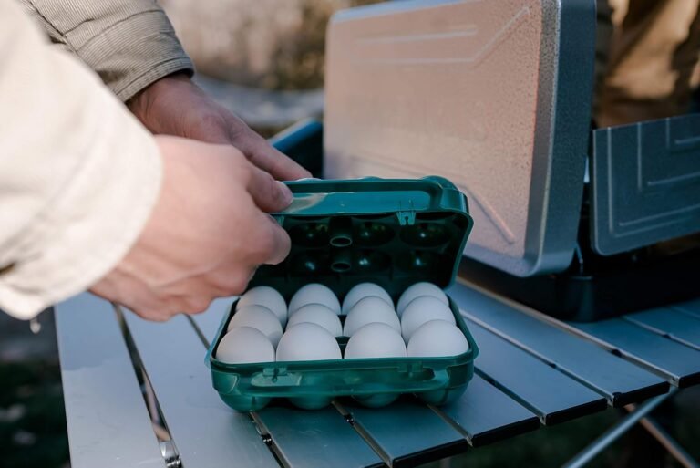 Stansport Egg Container for Camping and Travel